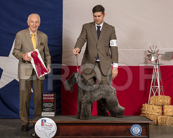 Kerry Blue Terrier #6 Sat G2 Judge Roger Hartinger-SSR_0949-HR3
