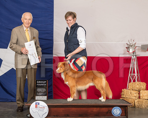 Nova Scotia Duck Tolling Retriever #5 Sat G4 Judge Roger Hartinger-SSR_0964-HR3