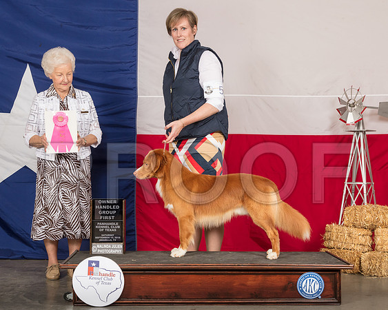 Nova Scotia Duck Tolling Retriever #5 Sat OHG1 Judge Paula Hartinger-SSR_0921-HR3