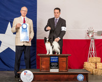Papillon #6 Sat G1 Judge Allen Odom