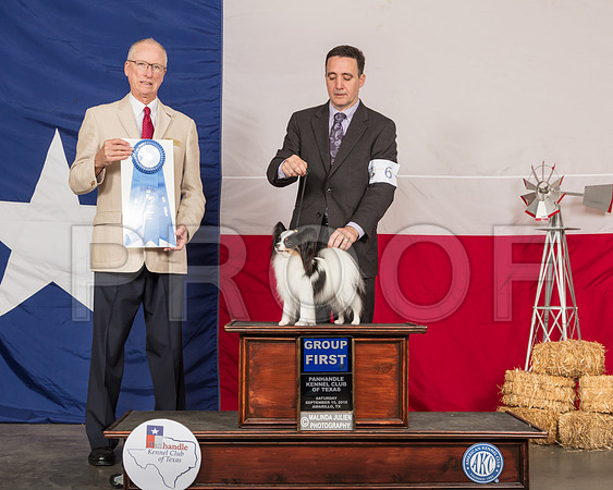 Papillon #6 Sat G1 Judge Allen Odom-SSR_0987-HR3