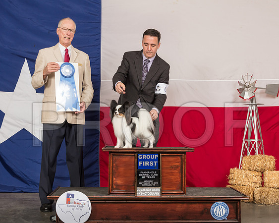 Papillon #6 Sat G1 Judge Allen Odom-SSR_0988-HR3