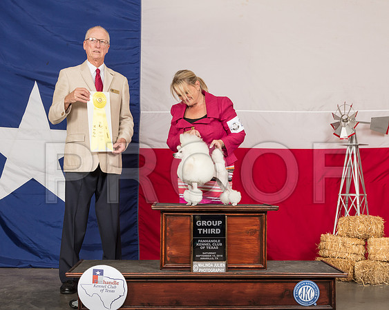 Poodle Toy #22 Sat G3 Judge Allen Odom-SSR_1011-HR3