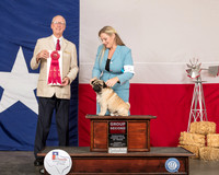 Pug #5 Sat G2 Judge Allen Odom