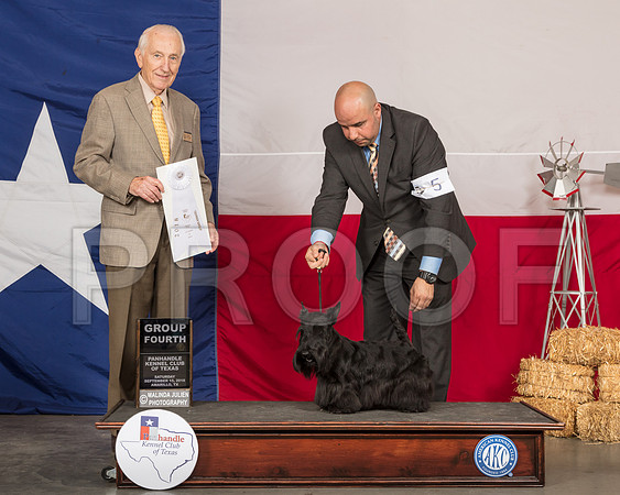 Scottish Terrier #5 Sat G4 Judge Roger Hartinger-SSR_0893-HR3