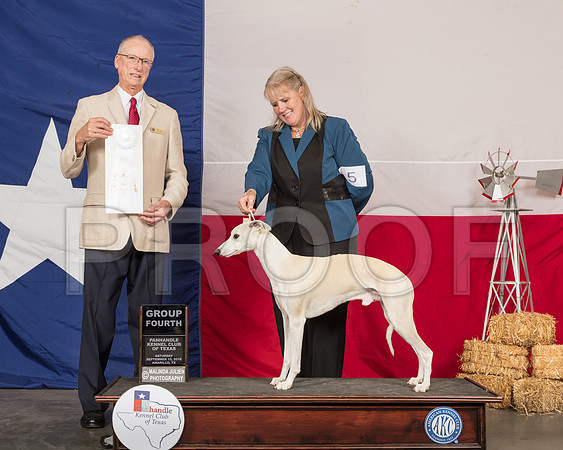 Whippet #5 Sat G4 Judge Allen Odom-SSR_0996-HR3