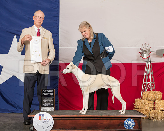 Whippet #5 Sat G4 Judge Allen Odom-SSR_0999-HR3