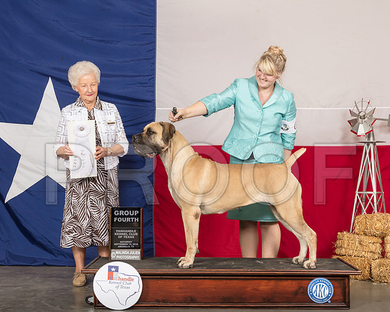 Boerbel #6 Sat G4 Judge Paula Hartinger-SSR_1059-HR3