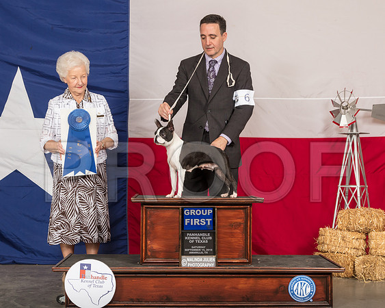 Boston Terrier #6 Sat G1 Judge Paula Hartinger-SSR_1050-HR3