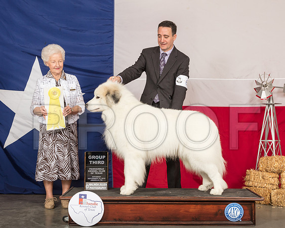 Great Pyrenees #5 Sat G3 Judge Paula Hartinger-SSR_1053-HR3