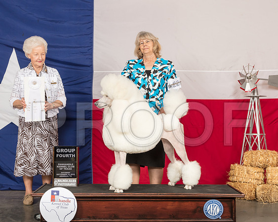Poodle Standard #22 Sat G4 Judge Paula Hartinger-SSR_1037-HR3