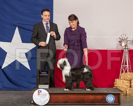 Tibetan Terrier Lori Livingston-SSR_1095-HR3
