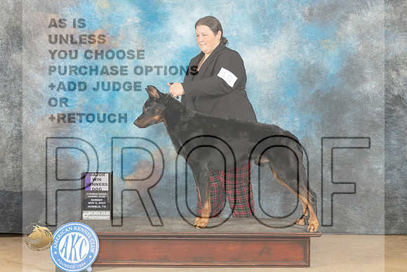 Beauceron #15 Sun WDM Judge Danelle Brown_JP_0701_CCKC2023_HR3