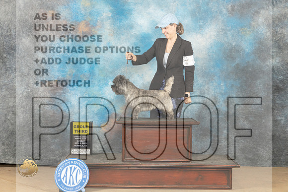 Cairn Terrier #6 Sun G3 Judge Nancy Lovelady_JP_0911_CCKC2023_HR3