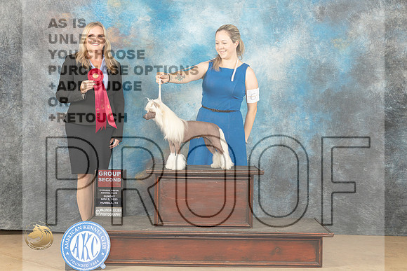 Chinese Crested #6 Sun G2 Judge Kelly Reimschiissel_JP_1038_CCKC2023_HR3