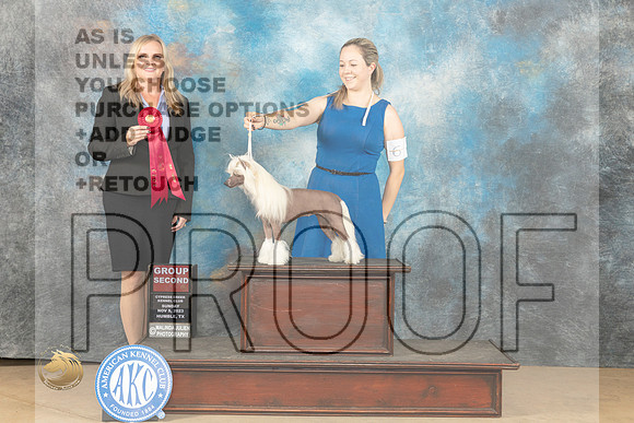 Chinese Crested #6 Sun G2 Judge Kelly Reimschiissel_JP_1040_CCKC2023_HR3