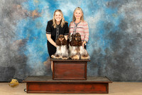 Cocker  Spaniel Family