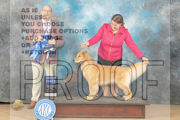 Golden Retriever #6 sun G1 Judge Edmund Dziuk_JP_0892_CCKC2023_HR3