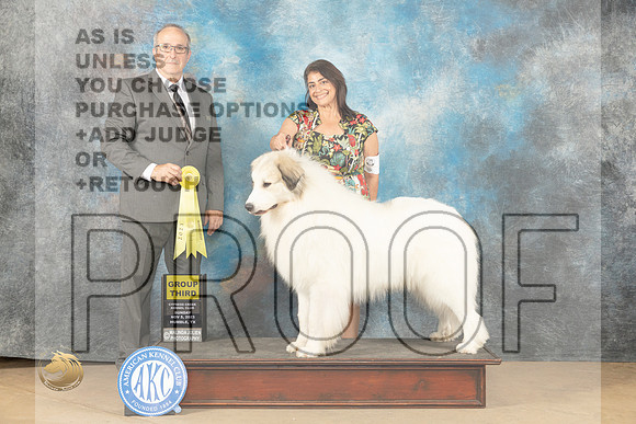 Great Pyrenees #5 Sun G3 Judge John Schoeneman _JP_1068_CCKC2023_HR3