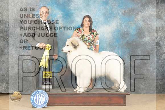Great Pyrenees #5 Sun G3 Judge John Schoeneman _JP_1071_CCKC2023_HR3