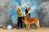Leonberger #8 Sun OHG2 Judge Sandra Coffman