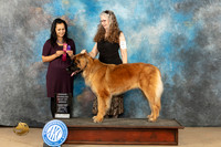 Leonberger #8 Sunday BOBOH Judge Julie Brady