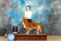 Nova Scotia Duck Tolling Retriever #5 Sun BOS Judge Edmund Dziuk