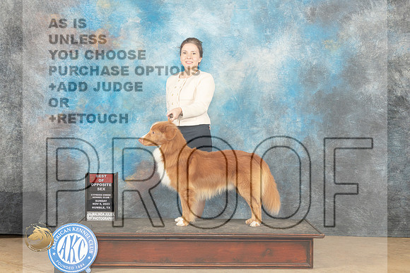 Nova Scotia Duck Tolling Retriever #5 Sun BOS Judge Edmund Dziuk_JP_0713_CCKC2023_HR3