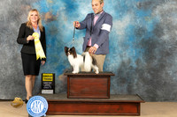 Papillion #15 Sun G3 Judge Kelly Reimschiissel