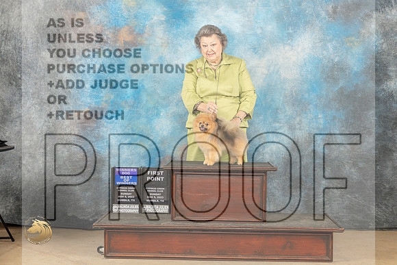 Pomeranian #5 sun WD BOW Judgeb Kelly Reimschiissel_JP_0793_CCKC2023_HR3