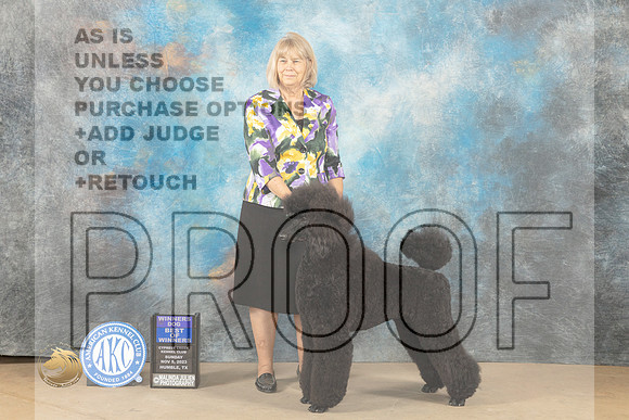 Poodle Std #11 Sun WDBOW Judge Kelly Reimschiissel_JP_1018_CCKC2023_HR3