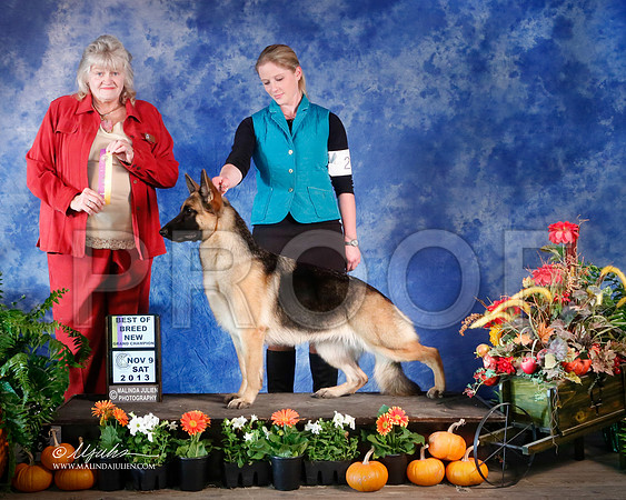 GSD-4361-HstnNov13-HR