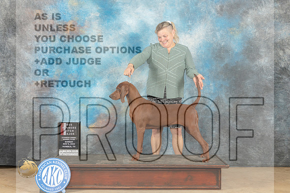 Redbone Coonhound #10 Sun WBBOSM Judge Dianne Kroll_JP_0647_CCKC2023_HR3