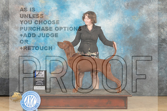 Redbone Coonhound #5 Sun WBBOWM Judge Dianne Kroll_JP_0666_CCKC2023_HR3