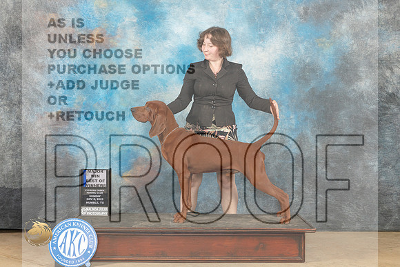 Redbone Coonhound #5 Sun WBBOWM Judge Dianne Kroll_JP_0665_CCKC2023_HR3
