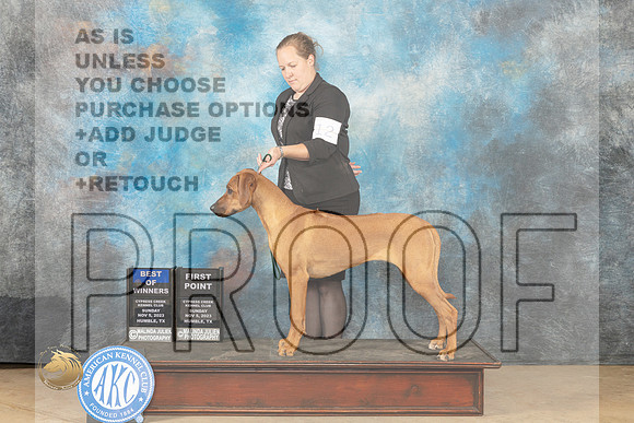 Rhodesian Ridgeback #12 Sun BOWWB Judge Dianne Kroll_JP_0643_CCKC2023_HR3