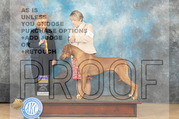 Ridgeback #9 Sun BOB Judge Dianne Kroll_JP_0717_CCKC2023_HR3