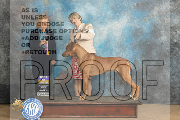 Ridgeback #9 Sun BOB Judge Dianne Kroll_JP_0721_CCKC2023_HR3