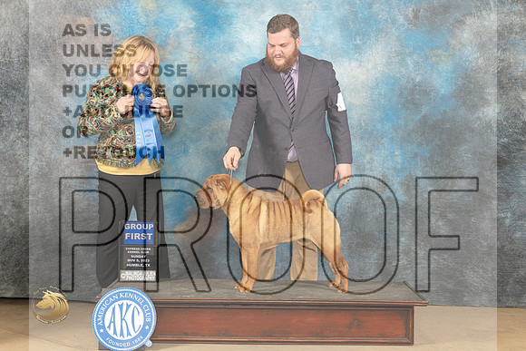Shar Pei #6 Sun G1 Judge Sandra Coffman_JP_1006_CCKC2023_HR3