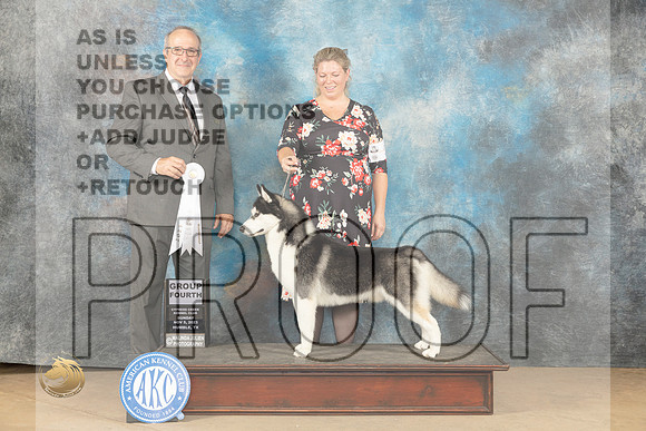 Siberian Husky #5 Sun G4 Judge John Schoeneman_JP_1074_CCKC2023_HR3