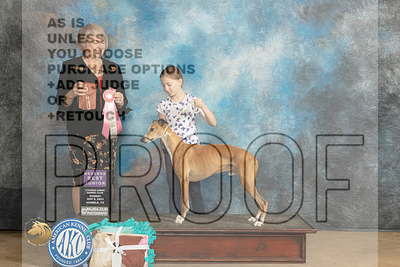 Whippet #J7 Sun BJr Judge Sammy Hirko_JP_0705_CCKC2023_HR3