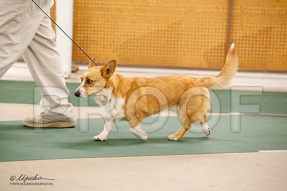 _JN_0073-NrmnNov2014-HR3