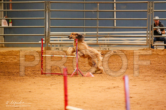 _JJ_5725-AfgBeltonOct2014-HR3
