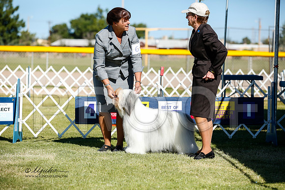 _JJ_2628-AlamogordoOct2014-HR3
