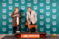 German Pinscher #101 Sat ARBIS Judge Kathy Russell