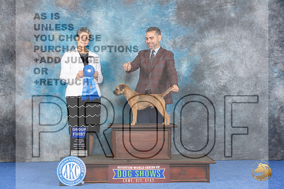 Border Terrier #9 WED G1 Judge Christine Erickson__JP_6993_Houston_2024_HR3