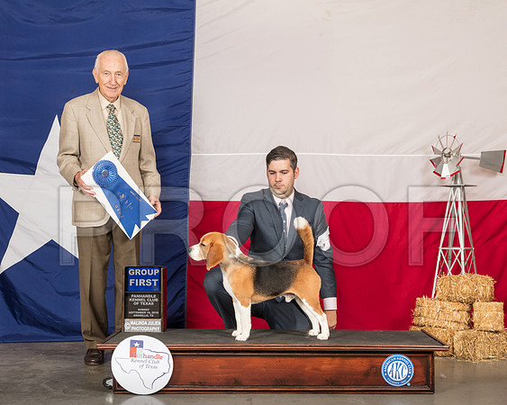 Beagle 15 #5 Sun G1 Judge Roger Hartinger-SSR_1503-HR3
