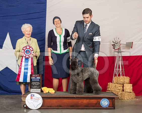 Kerry Blue Terrier #6 Sun BIS Judge Paula Hartinger-SSR_1603-HR3
