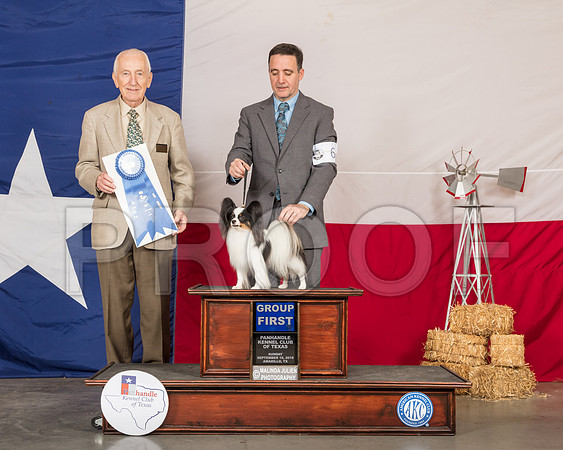 Papillon #6 Sun G1 Judge Roger Hartinger-SSR_1608-HR3