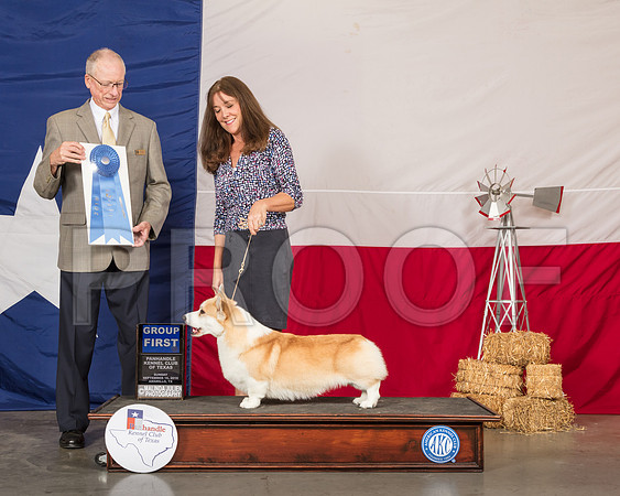 Pembroke Welsh Corgi #7 Sun G1 Judge Allen Odom-SSR_1440-HR3